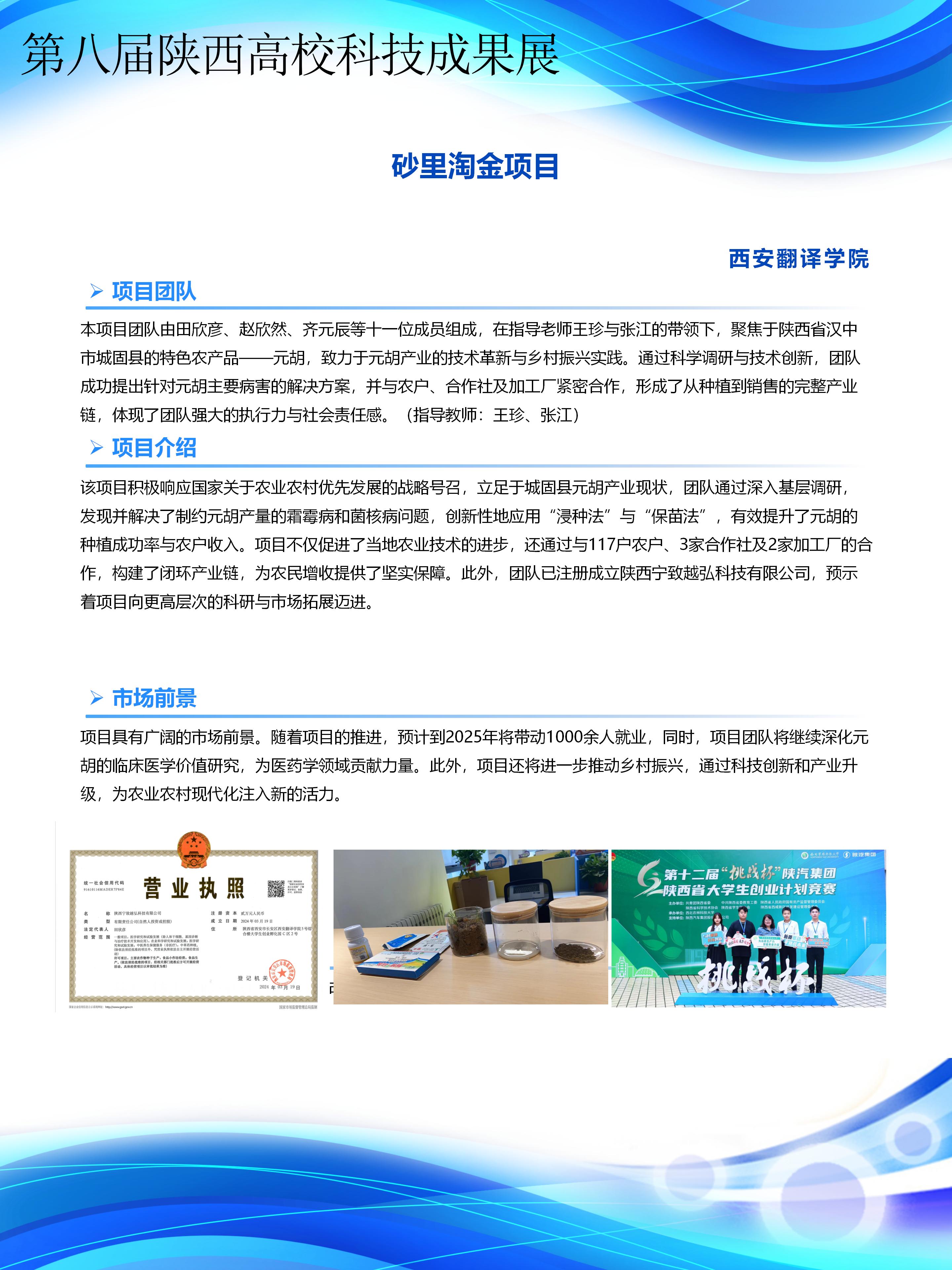 砂里淘金项目